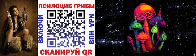 Галлюциногенные грибы Psilocybine cubensis Мценск